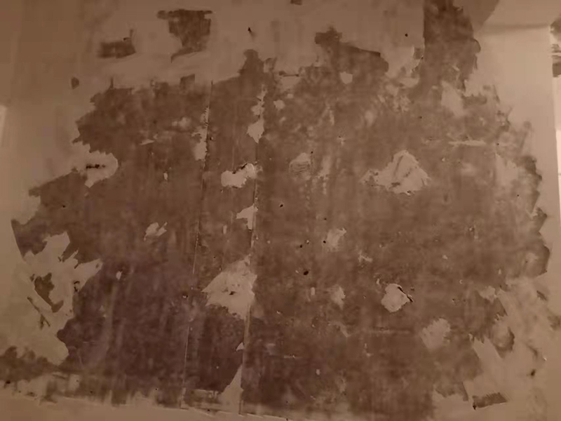 墻壁裝修用什么材料比較好？這些材料你知道嗎(圖4)