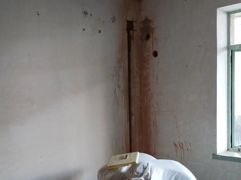 墻面反堿是什么原因引起的